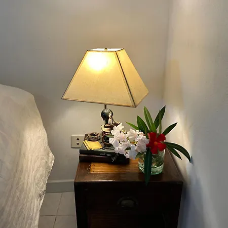 Avec Jardin Et Terrasse Apartamento *