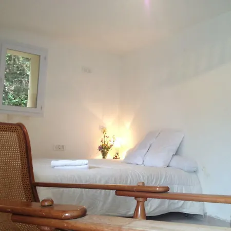 Avec Jardin Et Terrasse Apartamento